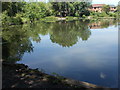 Railway Pond - off Aintree Court