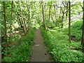 Permissive footpath between Hebden Water and the Foster Mill Goit