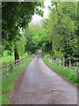 Driveway to Stay Farm