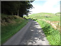 Ardglass Road running along the edge of Backaderry Wood