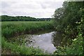 Pond Near Cuckoos Cottages