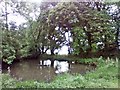 Pond at Godworthy Farm