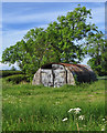 Old shed near Youlthorpe