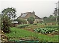 Vegetable plot at Challenger Farm