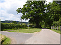 Lane junction near Goudhurst