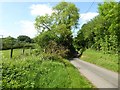 Country road near Lower Kimbolton Farm