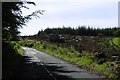 Felled area, Sauchie