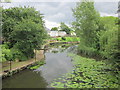 River Avon, Binton Bridges Welford-on-Avon