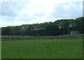 Grazing and stone barn near Bainbridge