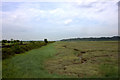 Benfleet Creek marshes looking westward