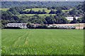 Greenhouses at Park View Farm