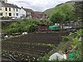 Glyncorrwg Allotments