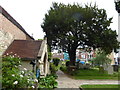 St Mary, Barnes: churchyard (d)