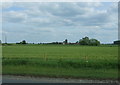 Crop field towards Swalefields