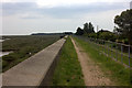 Path along flood defences near Newlands