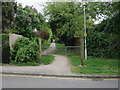 Footpath to Therfield Heath