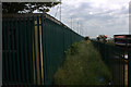 Path towards Canvey Point