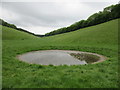 Dew pond in School House Dale