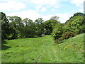 Footpath near Streatlam Grove