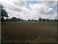 Field near Brooklands Farm