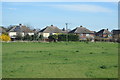 Houses on Somerset Rd