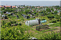 West Tarring Allotments