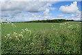 Fields near Marywell