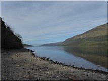 NN2491 : Loch Ness shoreline at Letterfinlay by Alpin Stewart