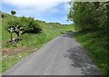 Ardglass Road ascending towards the Seeconnell Col