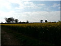 View to Lanlogie Farm