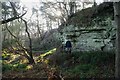 Quarry in Row Brow woods