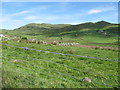 Grazing land between the Clonvaraghan Road and Slievenisky Mountain