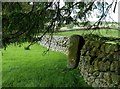 Standing Stone Near Carsphairn