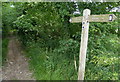 Fingerpost along the Peddars Way