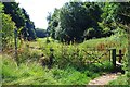 Entrance to Dean Bottom, near Burford, Oxon