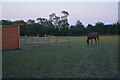 Monmouthshire : Grassy Field