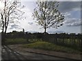 Field entrance on Brixworth Road, Stratton