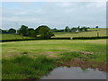 Grazing land and fields east of Coed Adam farm