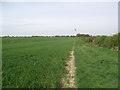 Footpath from Merrylees Road to Bagworth Road