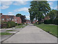 Don Avenue - viewed from Nidd Grove