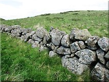NO2106 : Remains of field boundary wall, Lomond Hills by Bill Kasman