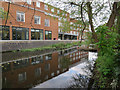 Hogsmill River