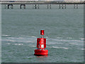 SU4209 : Hythe Knock Port Marker Buoy by David Dixon