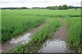 Field near Colliston Castle