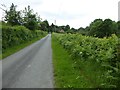 Country road near Callow Hill