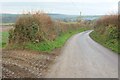 Lane to St Teath