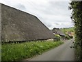 Thatched barns at Eastbury