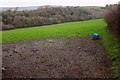 Grass field near Little Trevisquite