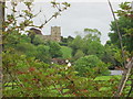 Distant view of St Michael & All Angels Church, Millbrook