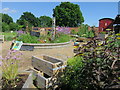 Garden at The Walled Nursery